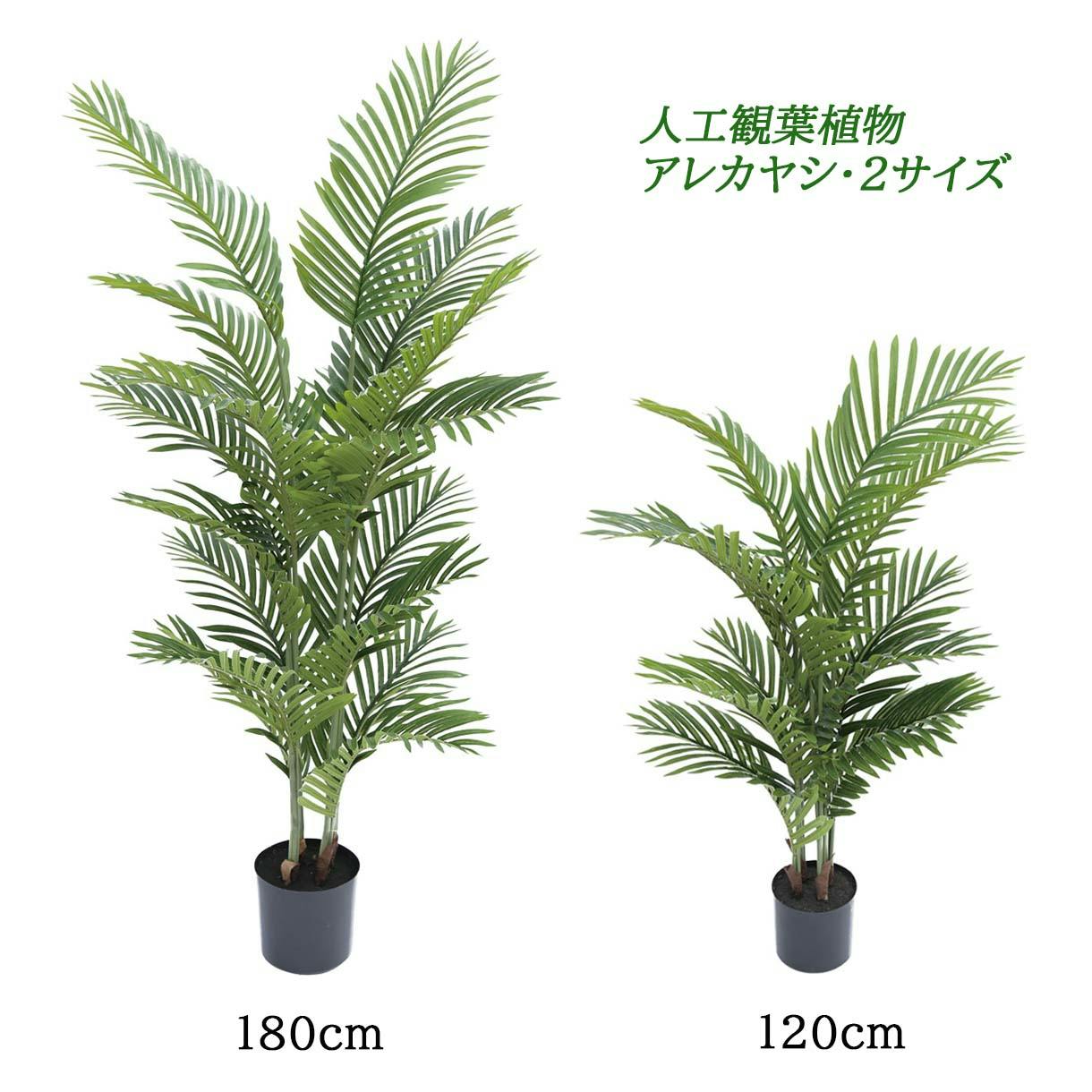 GREEN COFFRET アレカヤシ180cm 人工観葉植物 フェイクグリーン