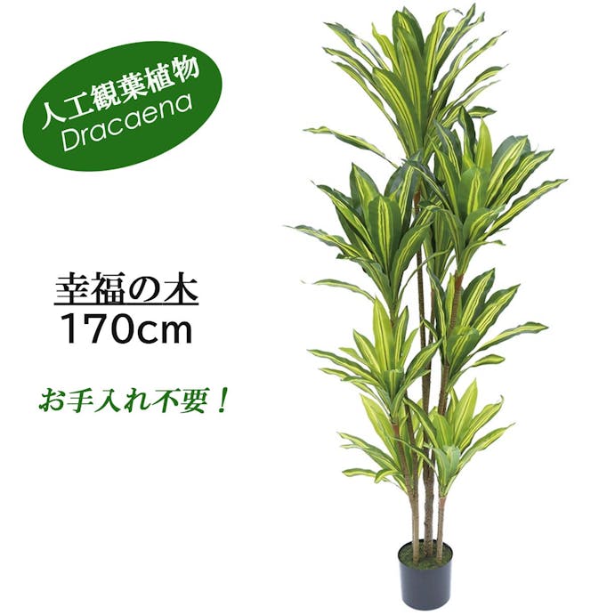 GREEN COFFRET 幸福の木170cm 人工観葉植物 フェイクグリーン インテリアグリーン JT-137-F-4-170【別送品】