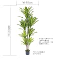 GREEN COFFRET 幸福の木170cm 人工観葉植物 フェイクグリーン インテリアグリーン JT-137-F-4-170【別送品】