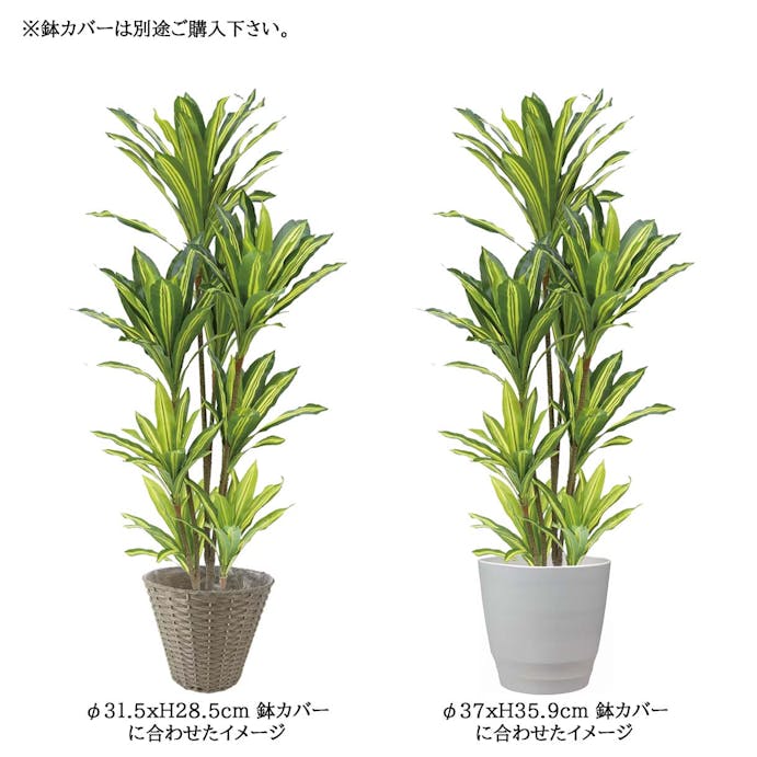 GREEN COFFRET 幸福の木170cm 人工観葉植物 フェイクグリーン インテリアグリーン JT-137-F-4-170【別送品】