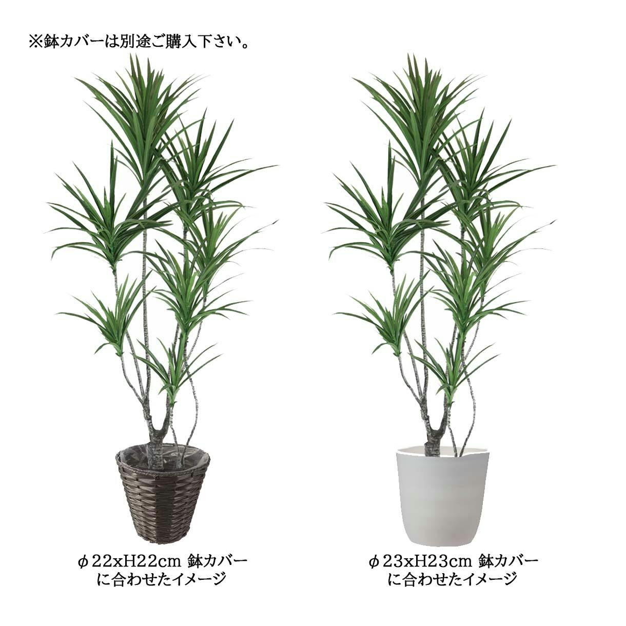 フェイクグリーン コンシンネ 【user_4b625da9】 GREEN COFFRET コンシンネ130cm 人工観葉植物 フェイクグリーン