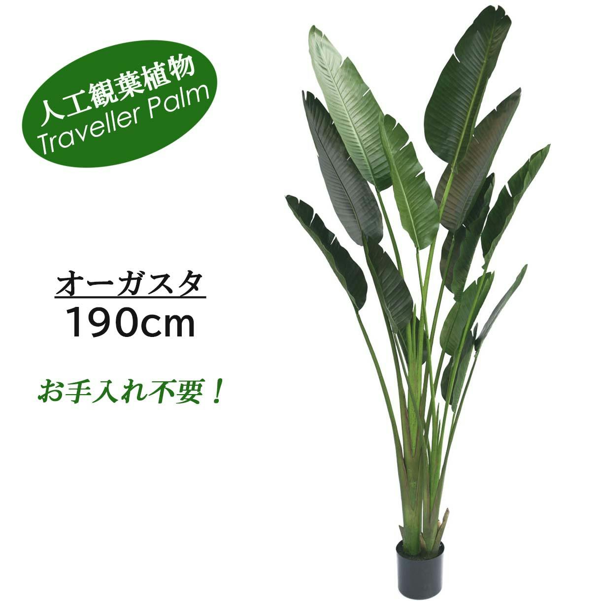 GREEN COFFRET オーガスタ190cm 人工観葉植物 フェイクグリーン