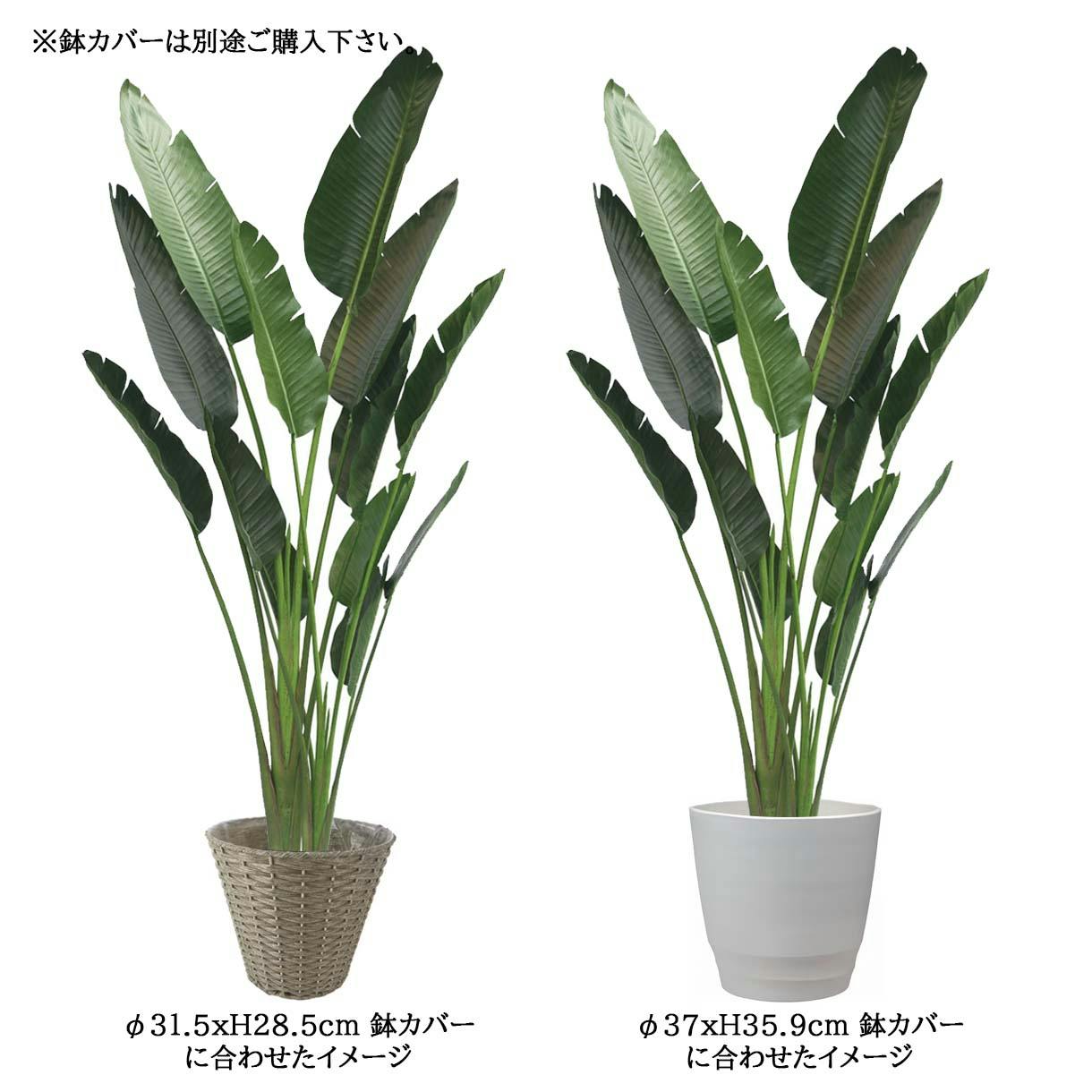 GREEN COFFRET オーガスタ190cm 人工観葉植物 フェイクグリーン