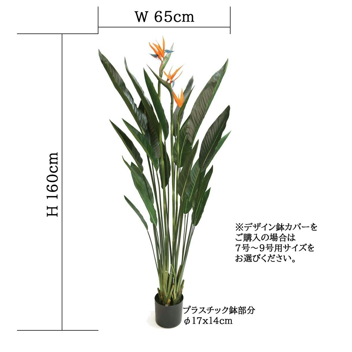 人工観葉植物 ストレッチア１３Ｆ 166811382_th.jpg?