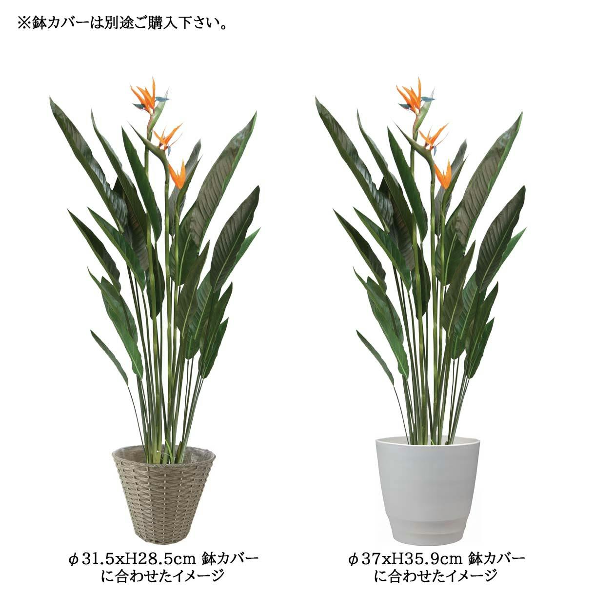 【セット販売】ストレリチア 人工観葉植物 160cm+ウッドチップ、鉢カバー付 フェイクグリーン 観葉植物 人工観葉植物 造花 大型
