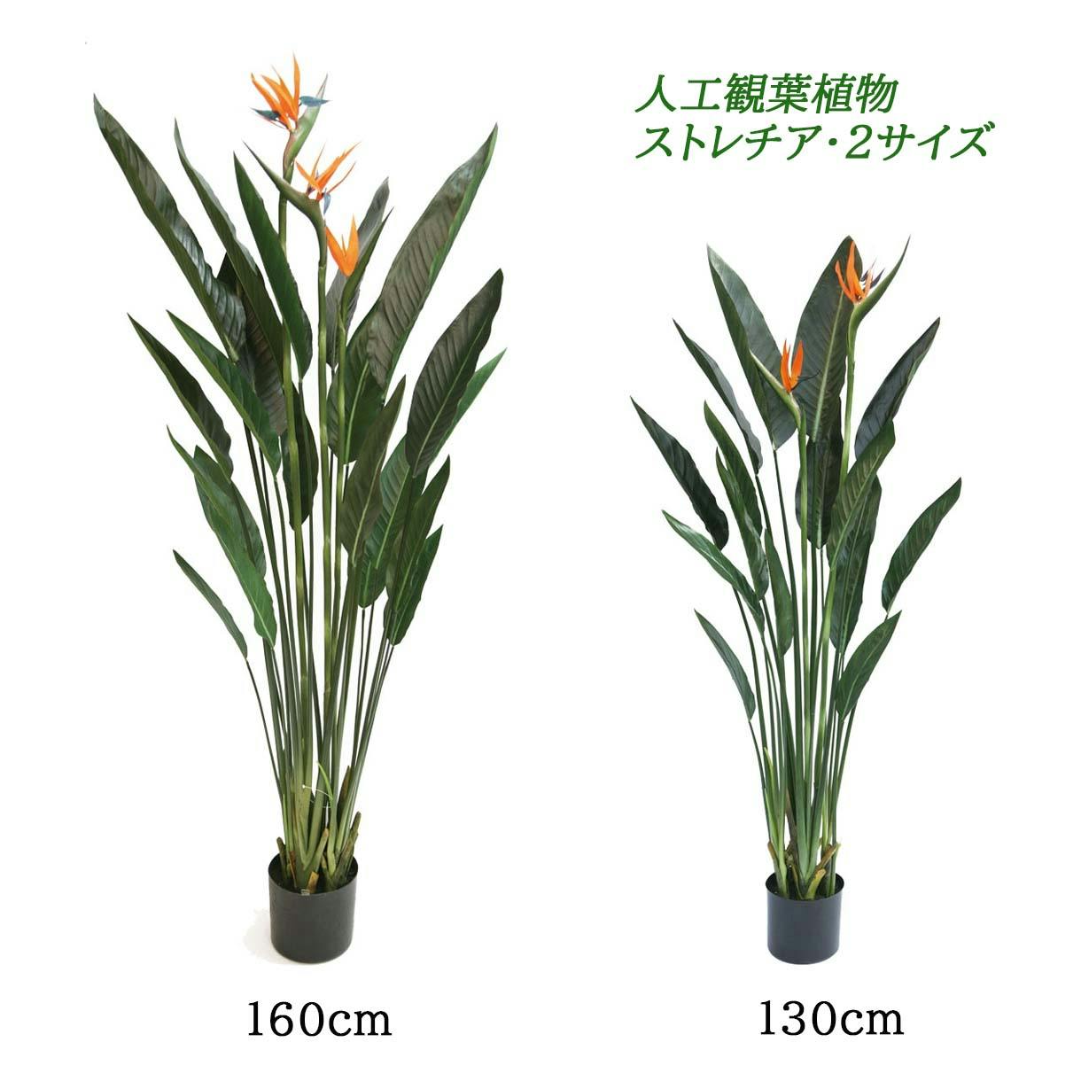 観葉植物　130株以上まとめ売り GREEN COFFRET シャラ株立ち120cm 人工観葉植物 フェイクグリーン