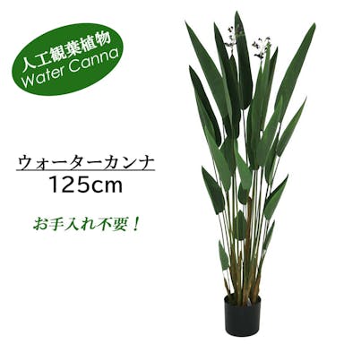 GREEN COFFRET ウォーターカンナ125cm 人工観葉植物 フェイクグリーン インテリアグリーン RI-026.GR【別送品】