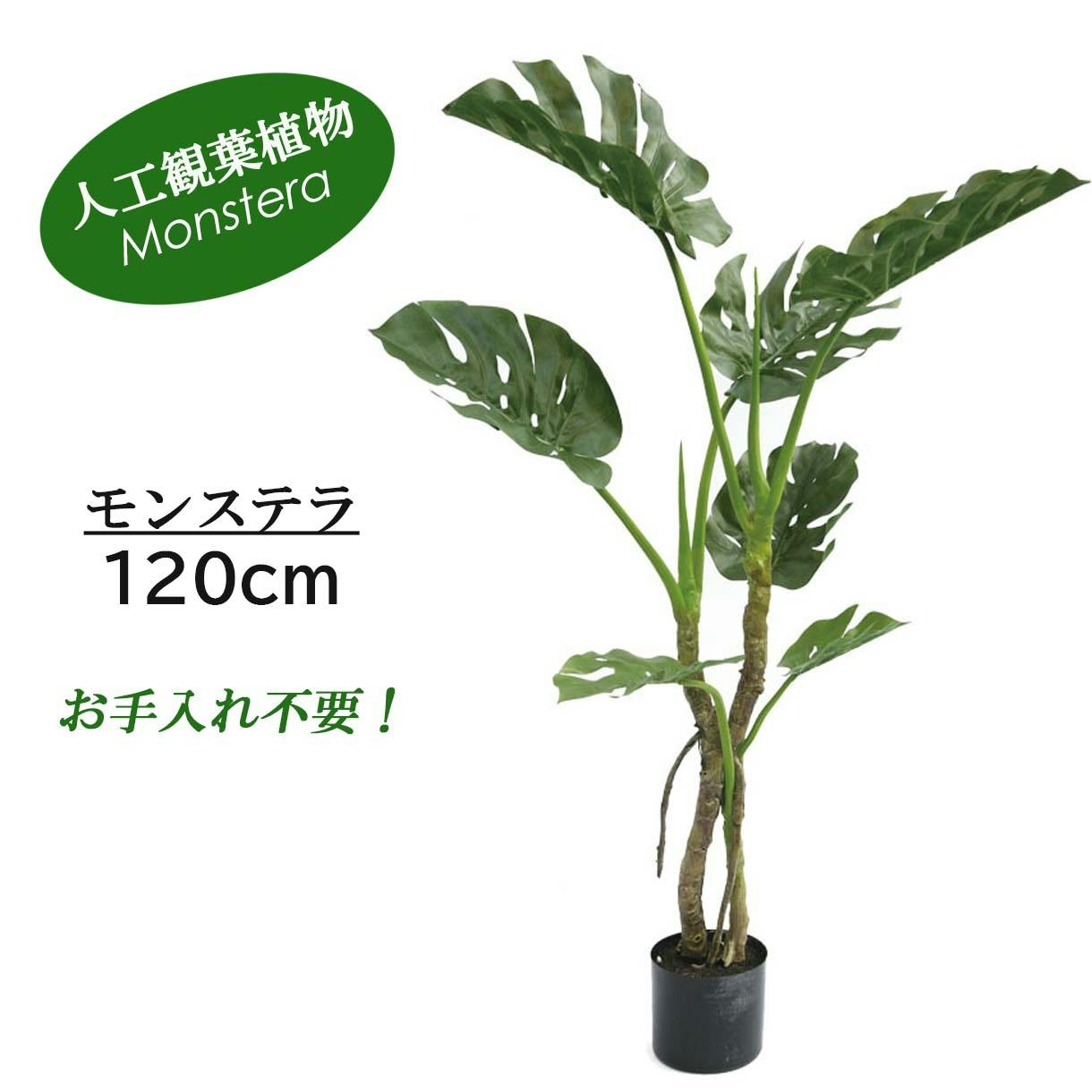 GREEN COFFRET モンステラ120cm 人工観葉植物 フェイクグリーン