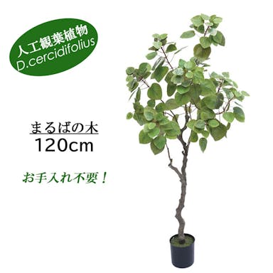 GREEN COFFRET まるばの木120cm 人工観葉植物 フェイクグリーン インテリアグリーン YCS-180097-120【別送品】