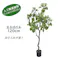 GREEN COFFRET まるばの木120cm 人工観葉植物 フェイクグリーン インテリアグリーン YCS-180097-120【別送品】