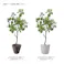 GREEN COFFRET まるばの木120cm 人工観葉植物 フェイクグリーン インテリアグリーン YCS-180097-120【別送品】