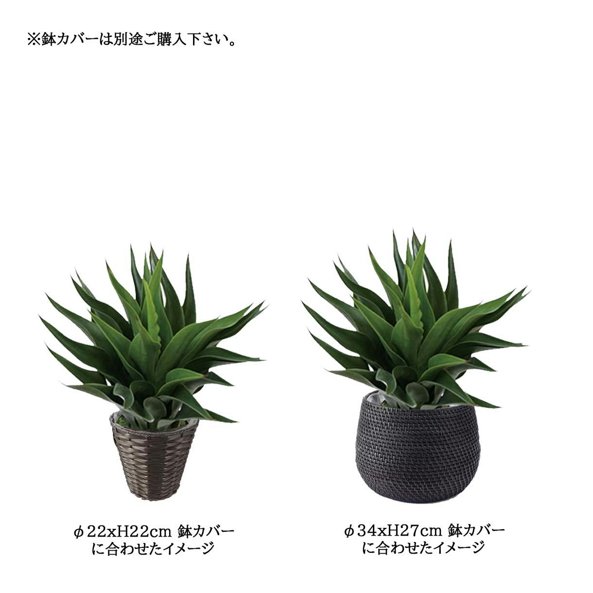 GREEN COFFRET アガぺバリィ60cm 人工観葉植物 フェイクグリーン