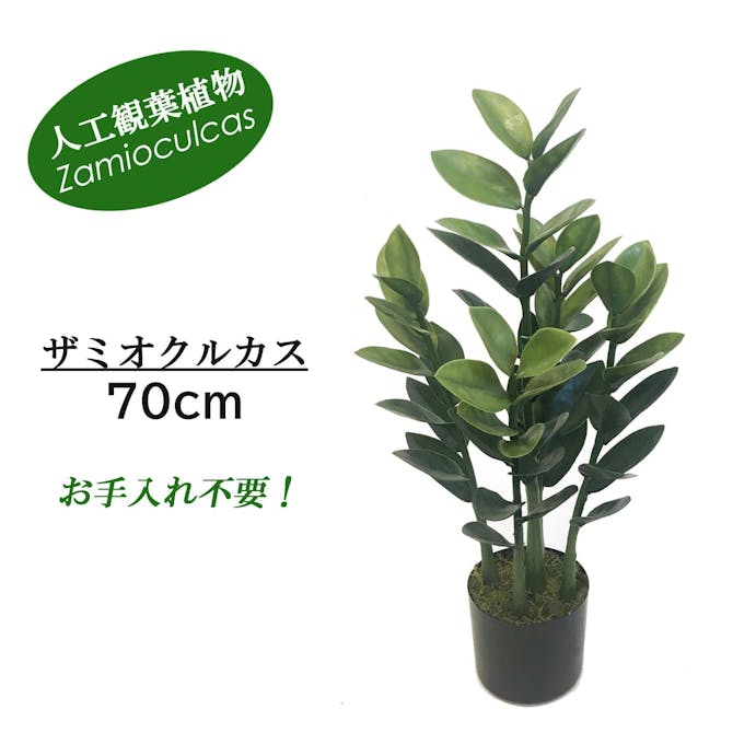 GREEN COFFRET ザミオクルカス70cm 人工観葉植物 フェイクグリーン インテリアグリーン ZAMI-700【別送品】