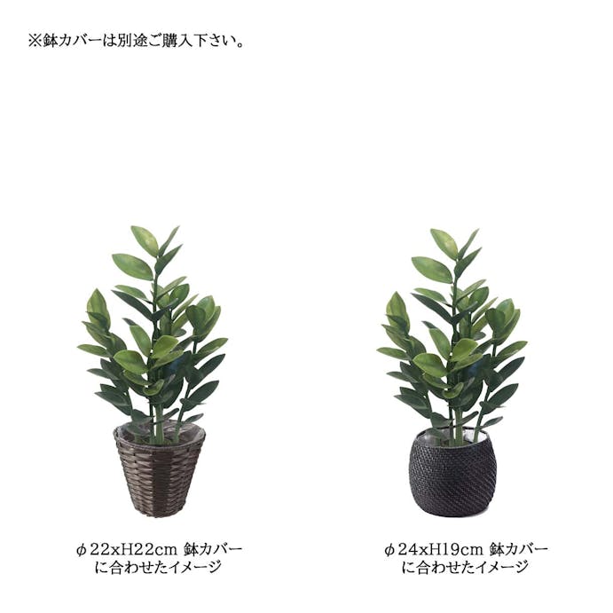 GREEN COFFRET ザミオクルカス70cm 人工観葉植物 フェイクグリーン インテリアグリーン ZAMI-700【別送品】