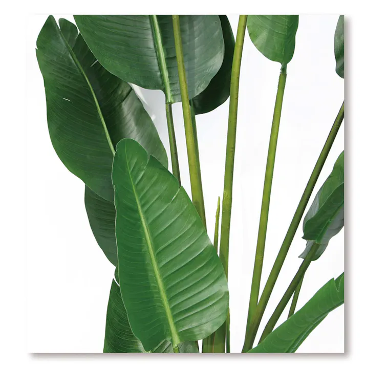 GREEN COFFRET オーガスタ115陶器鉢付・白 人工観葉植物 フェイクグリーン インテリアグリーン RI-065GR-S-W【別送品】