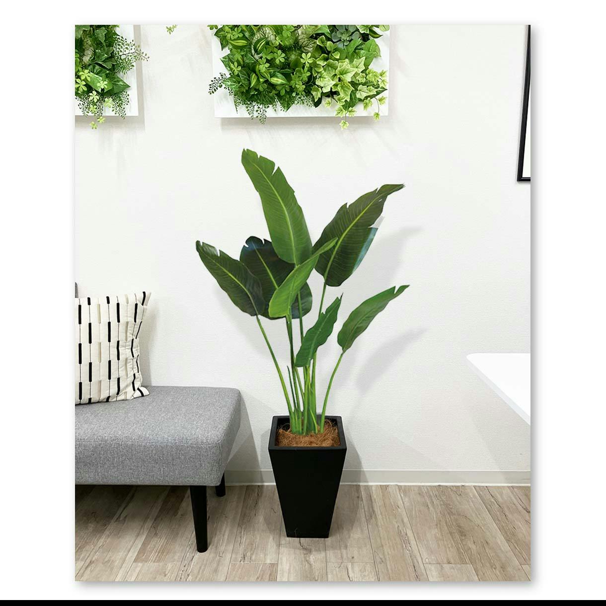 オーガスタ 人工観葉植物 フェイクグリーン 大きめ 黒鉢付き