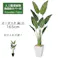 GREEN COFFRET オーガスタ160陶器鉢付・白 人工観葉植物 フェイクグリーン インテリアグリーン RI-082GR-S-W【別送品】
