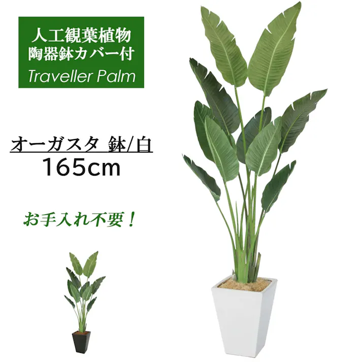 GREEN COFFRET オーガスタ160陶器鉢付・白 人工観葉植物 フェイクグリーン インテリアグリーン RI-082GR-S-W【別送品】