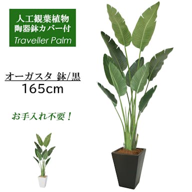 GREEN COFFRET オーガスタ160陶器鉢付・黒 人工観葉植物 フェイクグリーン インテリアグリーン RI-082GR-S-B【別送品】