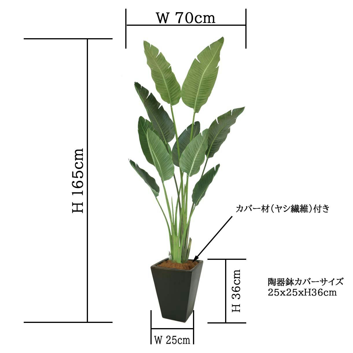 GREEN COFFRET オーガスタ160陶器鉢付・黒 人工観葉植物