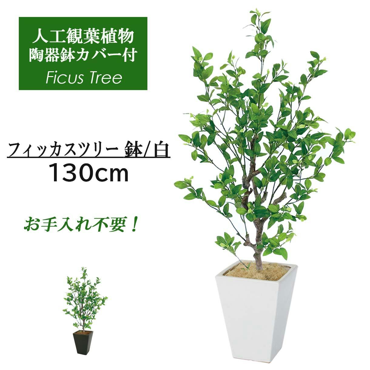 GREEN COFFRET フィッカスツリー115陶器鉢付・白 人工観葉植物 フェイクグリーン インテリアグリーン JT-43-1-S-W【別送品】  | 花＆グリーン | ホームセンター通販【カインズ】