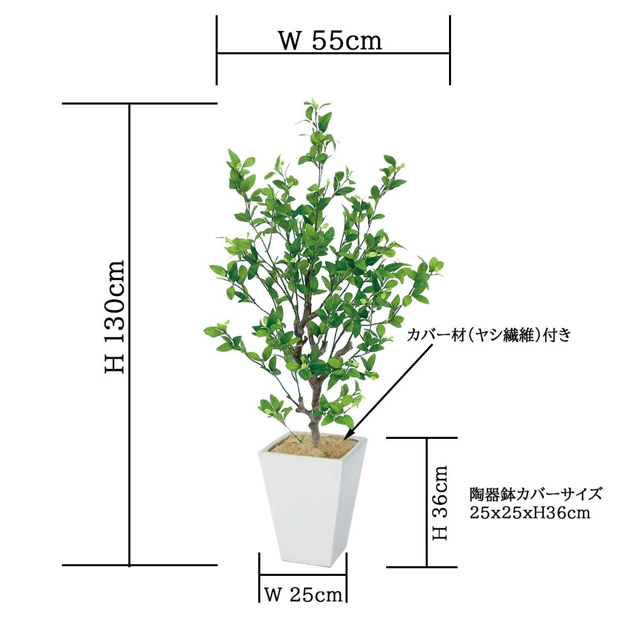 GREEN COFFRET フィッカスツリー115陶器鉢付・白 人工観葉植物