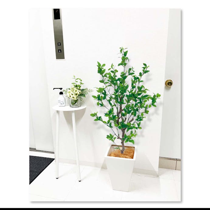 GREEN COFFRET フィッカスツリー115陶器鉢付・白 人工観葉植物 フェイクグリーン インテリアグリーン JT-43-1-S-W【別送品】