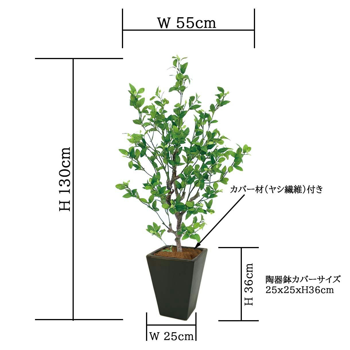 フェイクグリーン GREEN COFFRET フィッカスツリー115陶器鉢付・黒 人工観葉植物