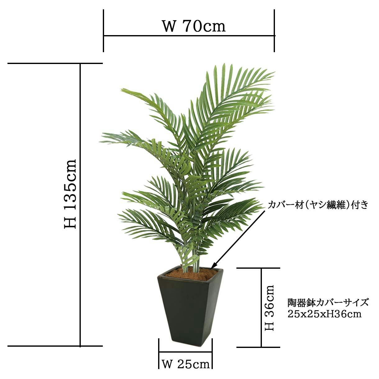 アレカヤシ ファイバー鉢 お皿付き アレカヤシ ファイバー鉢 お皿付き - メルカリ