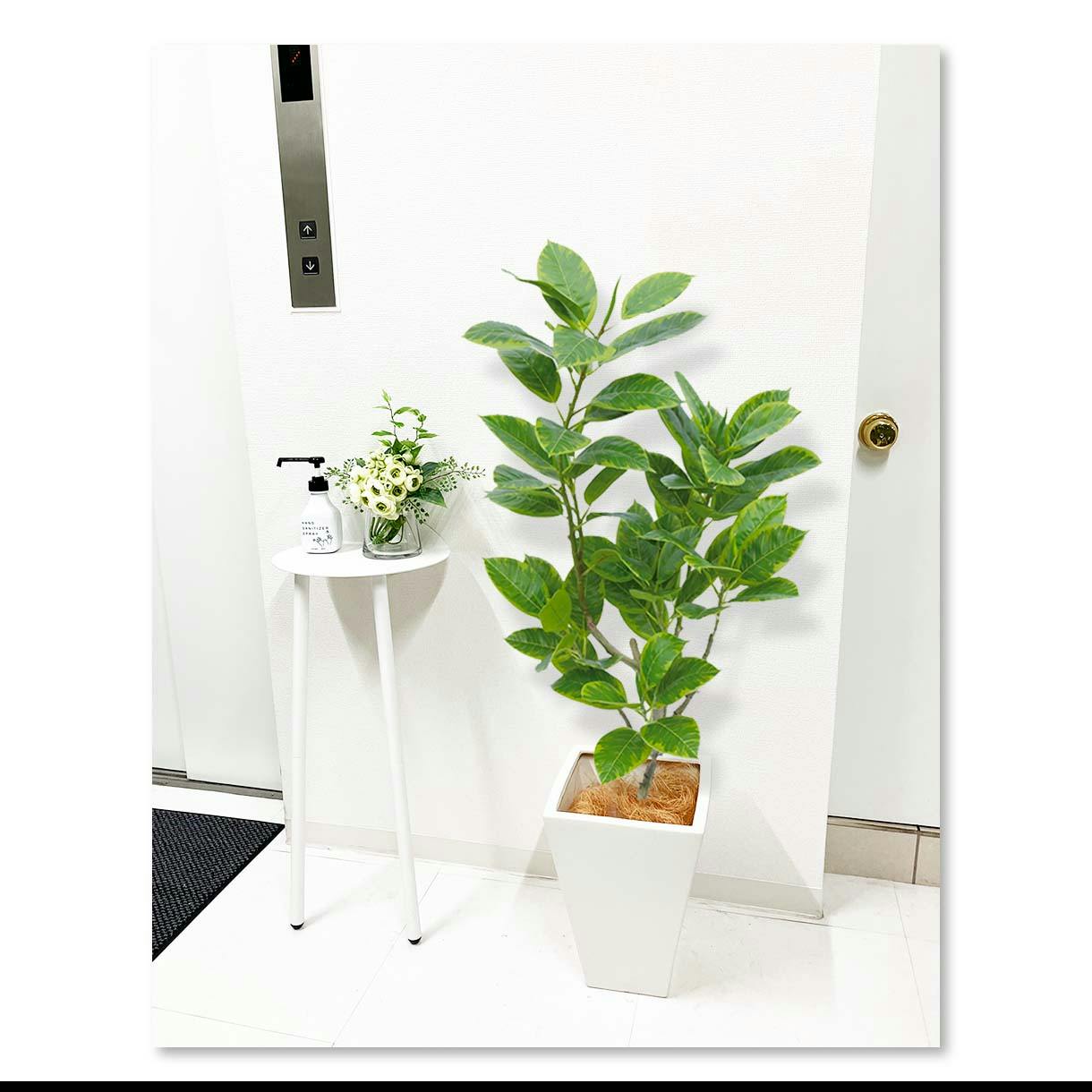 GREEN COFFRET アルテシマ120陶器鉢付・白 人工観葉植物 フェイク