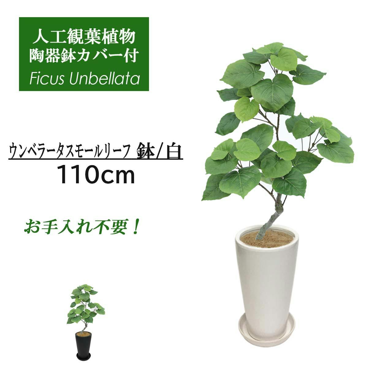 GREEN COFFRET ウンベラータスモールリーフ90陶器鉢付・白 人工観葉植物 フェイクグリーン インテリアグリーン JT-144-4-RSS-W【別送品】  | 花＆グリーン 通販 | ホームセンターのカインズ