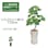 GREEN COFFRET ウンベラータスモールリーフ90陶器鉢付・白 人工観葉植物 フェイクグリーン インテリアグリーン  JT-144-4-RSS-W【別送品】