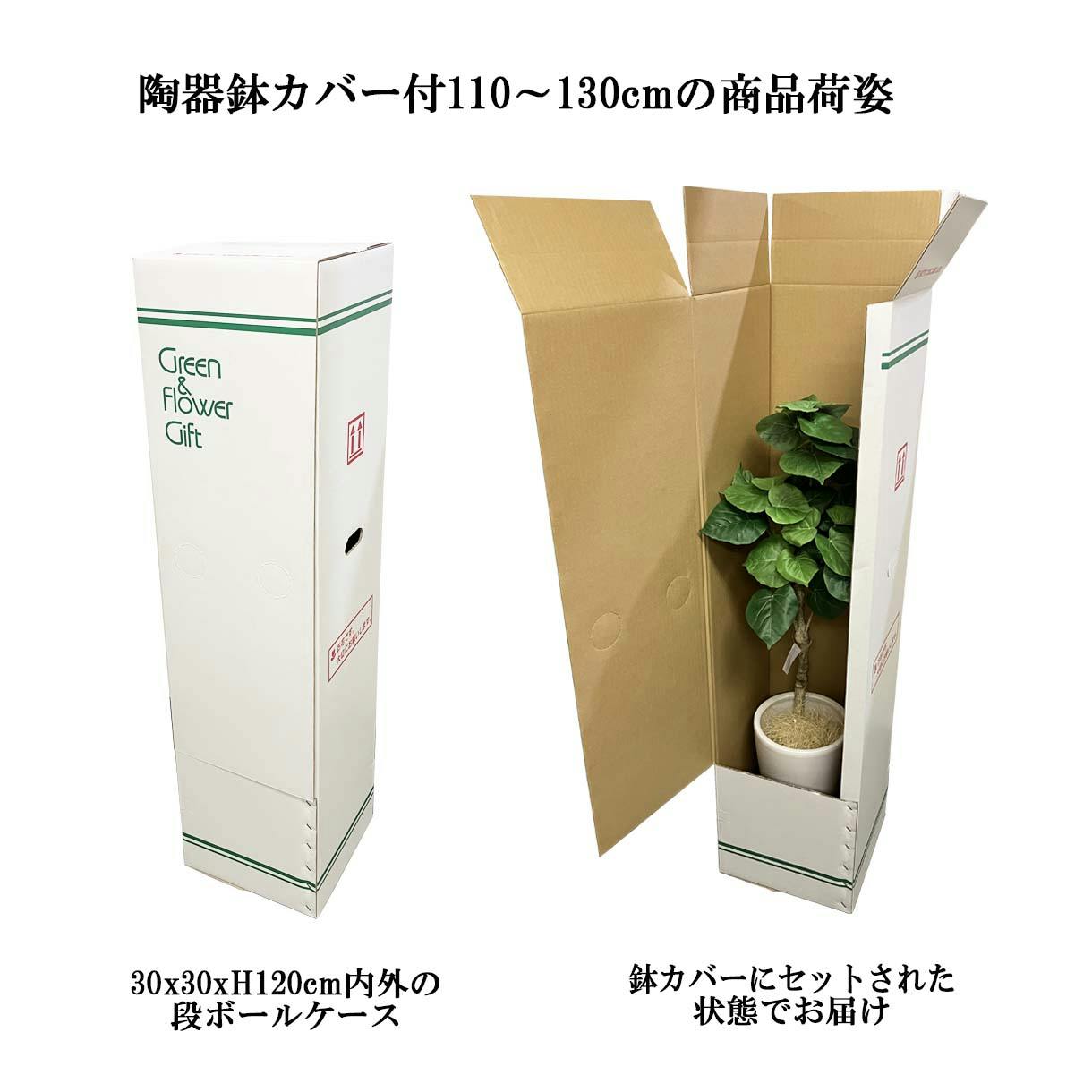GREEN COFFRET ウンベラータスモールリーフ90陶器鉢付・白 人工