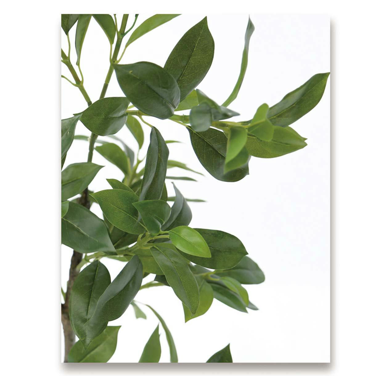 ご確認専用　　植物 光触媒 光の楽園 ドラセナジャネット1.0【インテリア フェイクグリーン