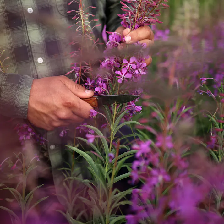 OYO マルカナイフ 北欧 キャンプ アウトドア OY306【別送品】