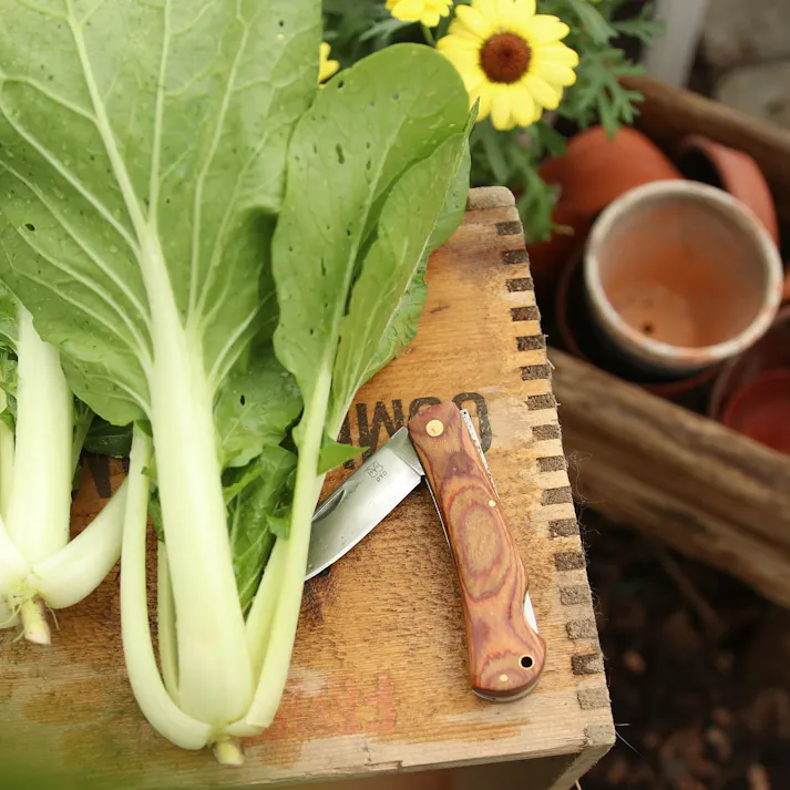 OYO マルカナイフ 北欧 キャンプ アウトドア OY306【別送品】