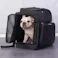 ONEKOSAMA OINUSAMA 3WAYペットキャリーバッグ リュック 犬 猫 ブラック お手入れ簡単 軽量 通気性 ons0007-bk【別送品】