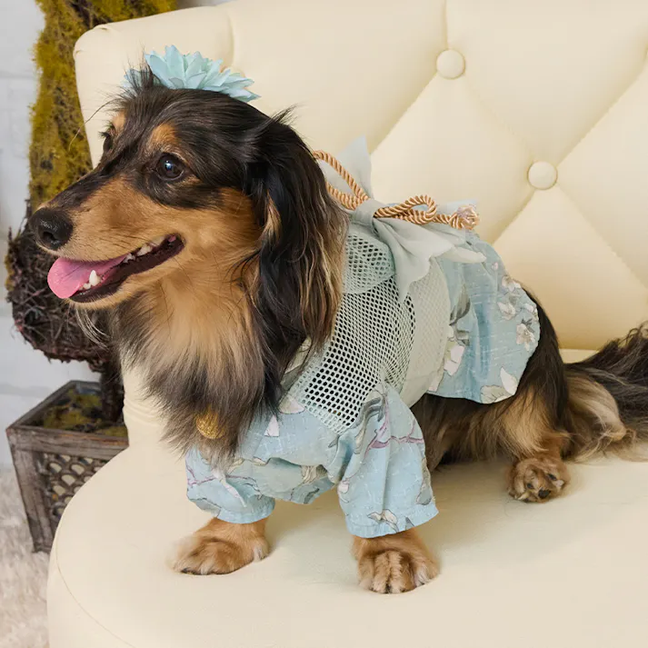 ONEKOSAMA OINUSAMA 浴衣 ペットウェア ブルー L【単品】 小型犬 洗える ons0019-bl-L【別送品】