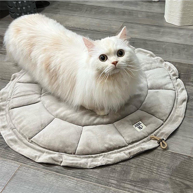 ONEKOSAMA OINUSAMA 冷暖リバーシブル マカロンクッション ブルー