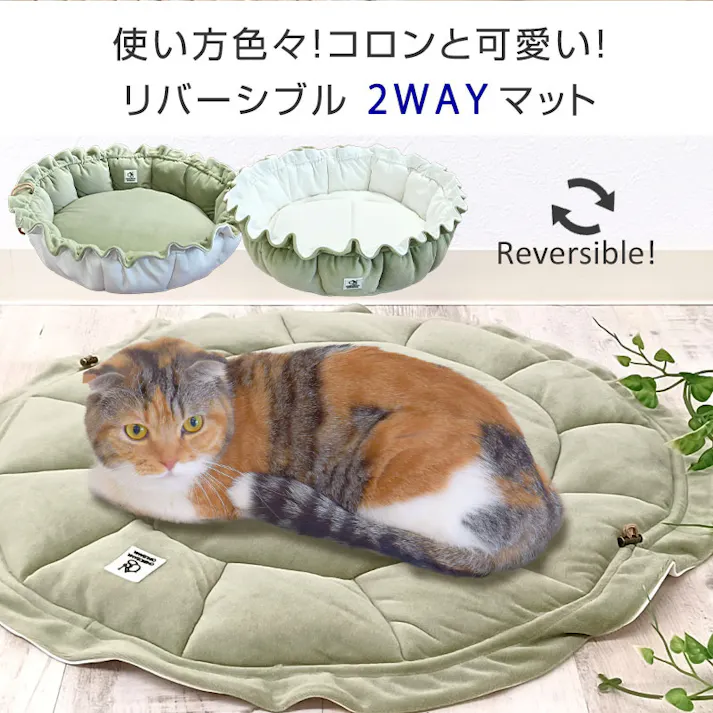 ONEKOSAMA OINUSAMA 保冷ジェルポケット付き 冷暖リバーシブル マカロンクッション 単品 グレー×グレー M 洗える 2WAY ons0023pk-grgr-M【別送品】