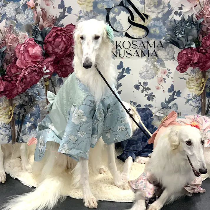 ONEKOSAMA OINUSAMA 空調 ペット服 浴衣 ブルー 8L【ファン2個】 大型犬 ons0032set-ons0019bl-8L【別送品】