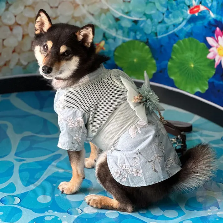 ONEKOSAMA OINUSAMA 空調ペット服 浴衣 ブルー M【ファン1個】 小型犬 ons0032set-ons0019bl-M【別送品】