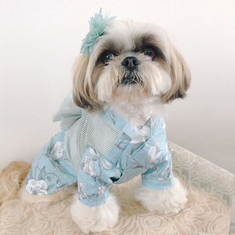 ONEKOSAMA OINUSAMA 空調 ペット服 浴衣 ブルー S【ファン1個