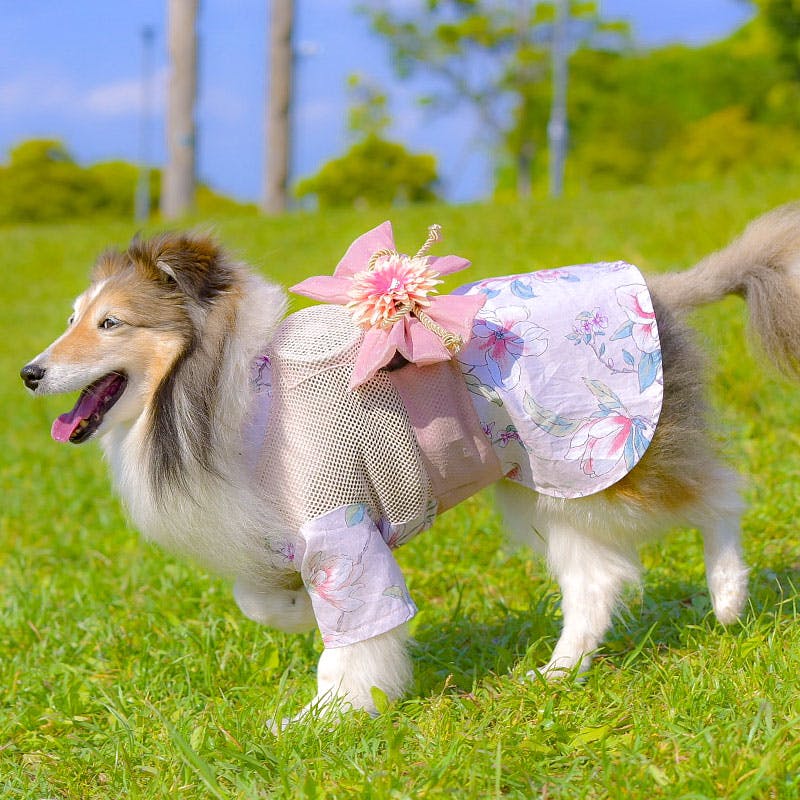 ONEKOSAMA OINUSAMA 空調 ペット服 浴衣 ピンク 9L【ファン2個