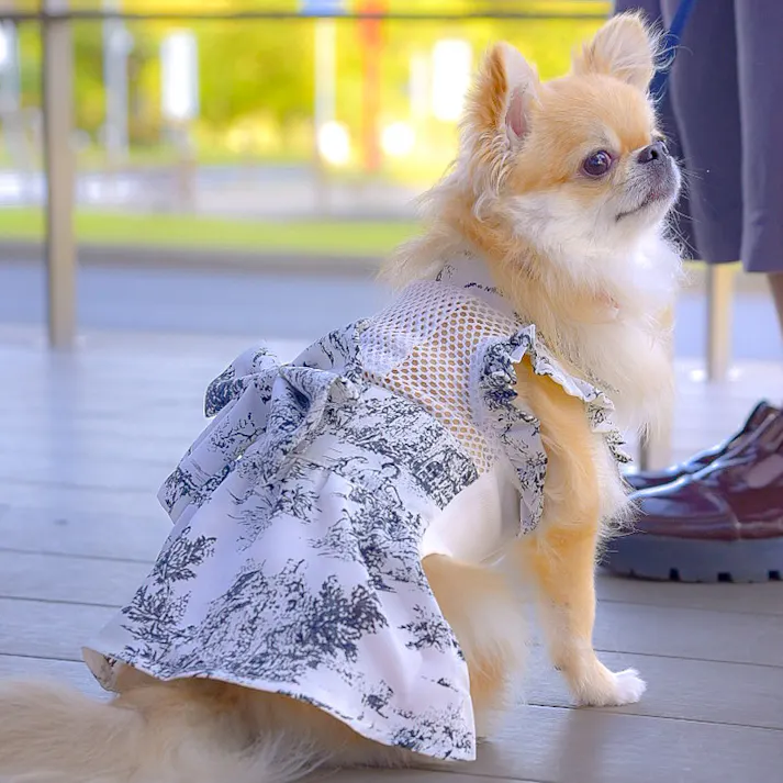 ONEKOSAMA OINUSAMA 空調 ペット服 サンドレス トワルドジュイ ブラック L【ファン1個】 小型犬 洗える ons0032set-ons0093bk-L【別送品】