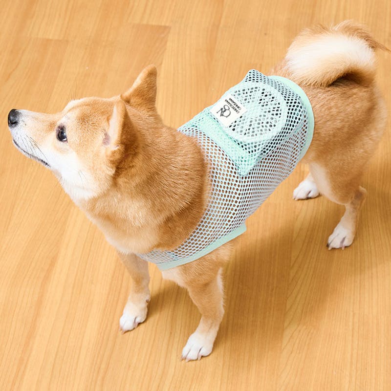 SWEET MOMMY ONEKOSAMA OINUSAMA 空調 ペット服 COOL DOG ブルー 9L ons0032set-ons0101bl-9L 4L~7Lサイズ SWEET MOMMY ONEKOSAMA OINUSAMA 空調 ペット服 COOL DOG ブルー 9L ons0032set-ons0101bl-9L 4L~7Lサイズ