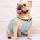 ONEKOSAMA OINUSAMA 空調 ペット服 COOL DOG ブルー S【ファン1個】 小型犬 ons0032set-ons0101bl-S【別送品】