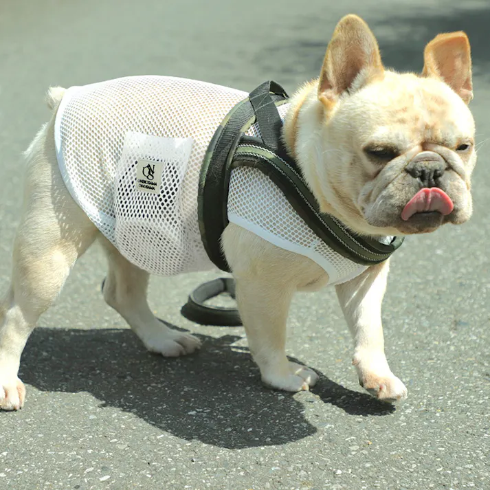 ONEKOSAMA OINUSAMA 空調ペット服 COOL DOG ホワイト 3L【ファン1個】 小型犬 ons0032set-ons0101wh-3L【別送品】