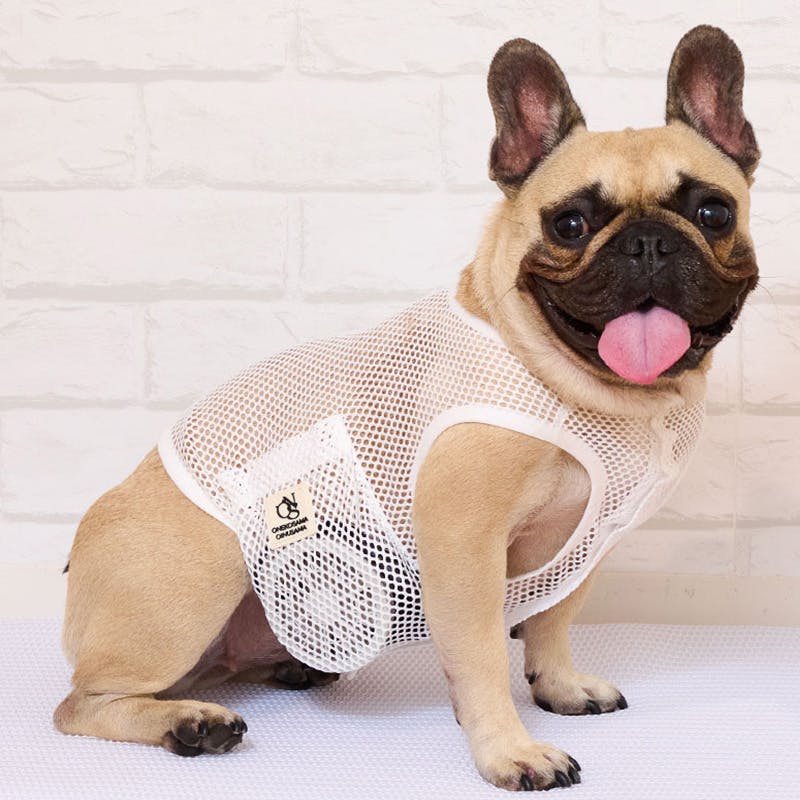 SWEET MOMMY ONEKOSAMA OINUSAMA 空調ペット服 COOL DOG ホワイト 8L ons0032set-ons0101wh-8L 4L~7Lサイズ SWEET MOMMY ONEKOSAMA OINUSAMA 空調ペット服 COOL DOG ホワイト 8L ons0032set-ons0101wh-8L 4L~7Lサイズ