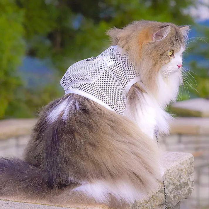 ONEKOSAMA OINUSAMA 空調ペット服 COOL DOG ホワイト M【ファン1個】 小型犬 ons0032set-ons0101wh-M【別送品】